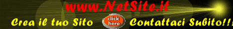 Netsite Business Innovation